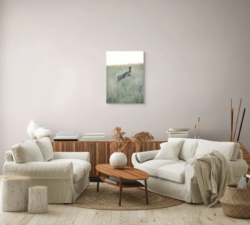 Tablou Canvas, "Iepure sărind prin iarba înaltă", Iepure, Săritor, Pajiște, Natură, Verde, Blană, Urechi, Lumină, Culoare, 50 x 70 cm – poza 4