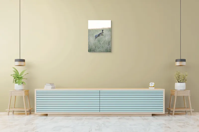 Tablou Canvas, "Iepure sărind prin iarba înaltă", Iepure, Săritor, Pajiște, Natură, Verde, Blană, Urechi, Lumină, Culoare, 50 x 70 cm – poza 6