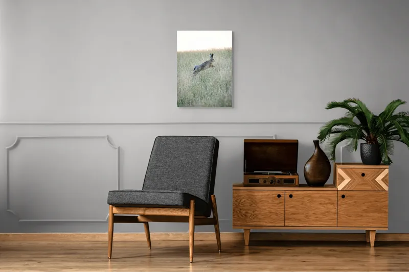 Tablou Canvas, "Iepure sărind prin iarba înaltă", Iepure, Săritor, Pajiște, Natură, Verde, Blană, Urechi, Lumină, Culoare, 50 x 70 cm – poza 8