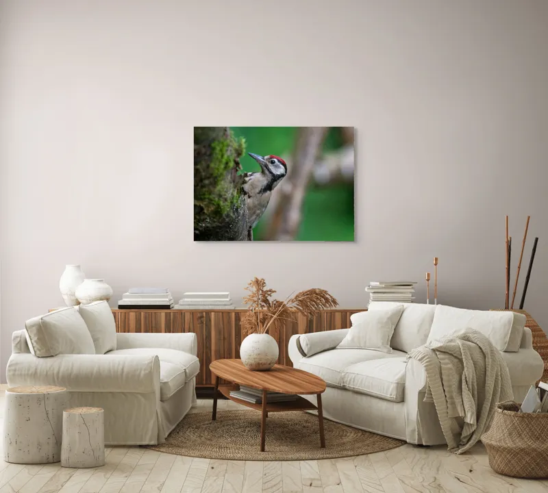 Tablou Canvas, "Ciocănitoarea pădurii verzi și vii", Ciocănitoare, Copac, Verdeață, Pene, Natură, Liniște, Observare, Viețuitoare, 100 x 70 cm – poza 3