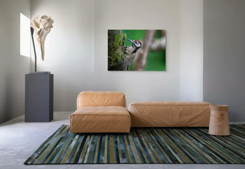 Tablou Canvas, "Ciocănitoarea pădurii verzi și vii", Ciocănitoare, Copac, Verdeață, Pene, Natură, Liniște, Observare, Viețuitoare, 100 x 70 cm – poza 7