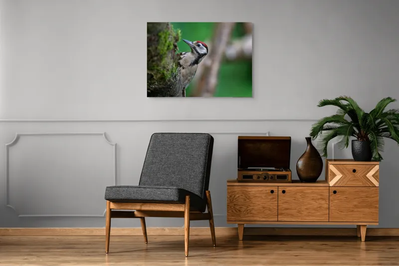Tablou Canvas, "Ciocănitoarea pădurii verzi și vii", Ciocănitoare, Copac, Verdeață, Pene, Natură, Liniște, Observare, Viețuitoare, 100 x 70 cm – poza 8