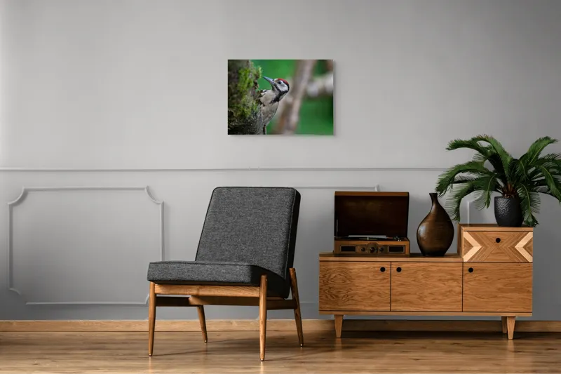 Tablou Canvas, "Ciocănitoarea pădurii verzi și vii", Ciocănitoare, Copac, Verdeață, Pene, Natură, Liniște, Observare, Viețuitoare, 70 x 50 cm – poza 4