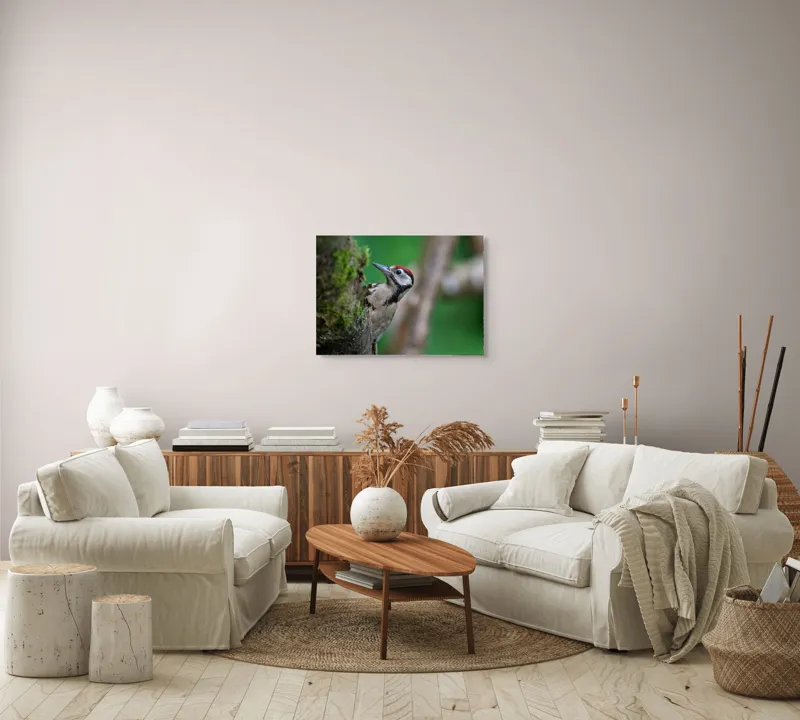 Tablou Canvas, "Ciocănitoarea pădurii verzi și vii", Ciocănitoare, Copac, Verdeață, Pene, Natură, Liniște, Observare, Viețuitoare, 70 x 50 cm – poza 6