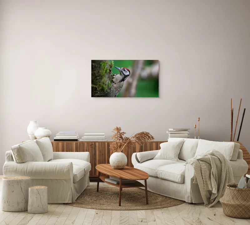 Tablou Canvas, "Ciocănitoarea pădurii verzi și vii", Ciocănitoare, Copac, Verdeață, Pene, Natură, Liniște, Observare, Viețuitoare, 90 x 50 cm – poza 4