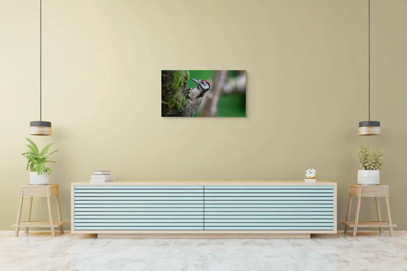 Tablou Canvas, "Ciocănitoarea pădurii verzi și vii", Ciocănitoare, Copac, Verdeață, Pene, Natură, Liniște, Observare, Viețuitoare, 90 x 50 cm – poza 5