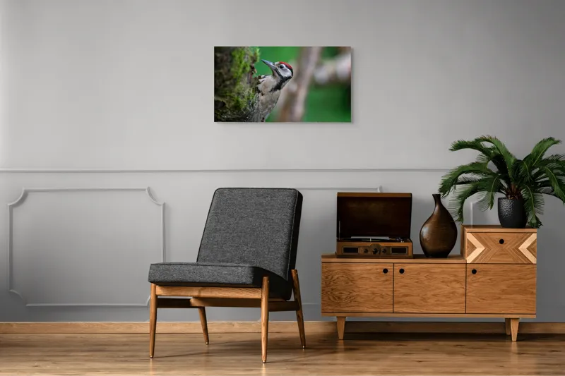Tablou Canvas, "Ciocănitoarea pădurii verzi și vii", Ciocănitoare, Copac, Verdeață, Pene, Natură, Liniște, Observare, Viețuitoare, 90 x 50 cm – poza 6
