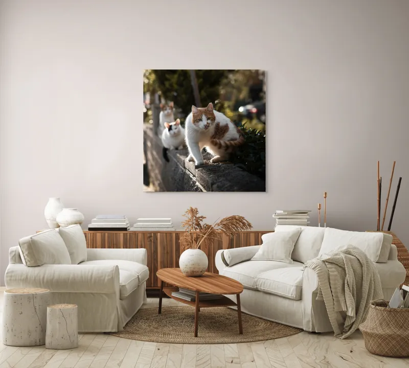 Tablou Canvas, "Trei pisici explorând gardul însorit", Pisici, Zid, Soare, Verdeață, Blăniță, Atenție, Agilitate, Stradă, 100 x 100 cm – poza 3