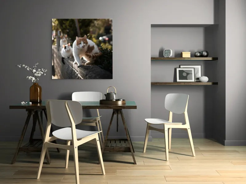 Tablou Canvas, "Trei pisici explorând gardul însorit", Pisici, Zid, Soare, Verdeață, Blăniță, Atenție, Agilitate, Stradă, 100 x 100 cm – poza 6