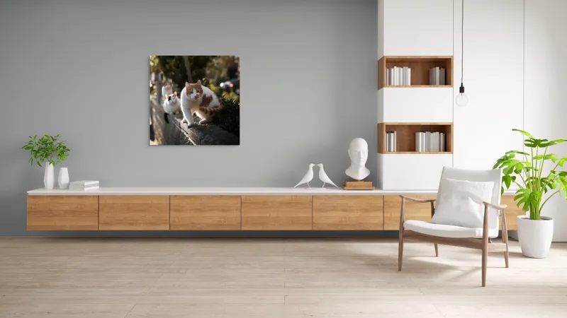 Tablou Canvas, "Trei pisici explorând gardul însorit", Pisici, Zid, Soare, Verdeață, Blăniță, Atenție, Agilitate, Stradă, 100 x 100 cm – poza 8