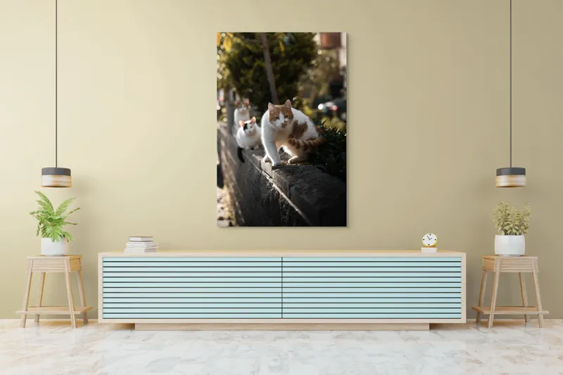 Tablou Canvas, "Trei pisici explorând gardul însorit", Pisici, Zid, Soare, Verdeață, Blăniță, Atenție, Agilitate, Stradă, 100 x 150 cm – poza 4