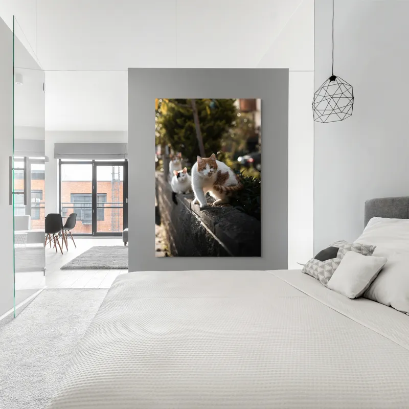 Tablou Canvas, "Trei pisici explorând gardul însorit", Pisici, Zid, Soare, Verdeață, Blăniță, Atenție, Agilitate, Stradă, 100 x 150 cm – poza 5