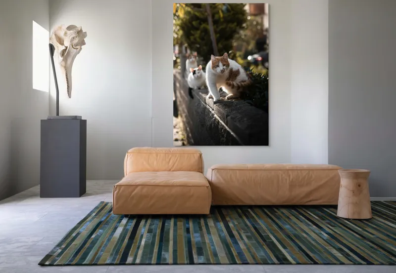 Tablou Canvas, "Trei pisici explorând gardul însorit", Pisici, Zid, Soare, Verdeață, Blăniță, Atenție, Agilitate, Stradă, 100 x 150 cm – poza 7
