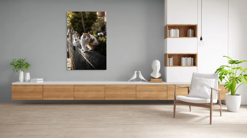 Tablou Canvas, "Trei pisici explorând gardul însorit", Pisici, Zid, Soare, Verdeață, Blăniță, Atenție, Agilitate, Stradă, 100 x 150 cm – poza 8