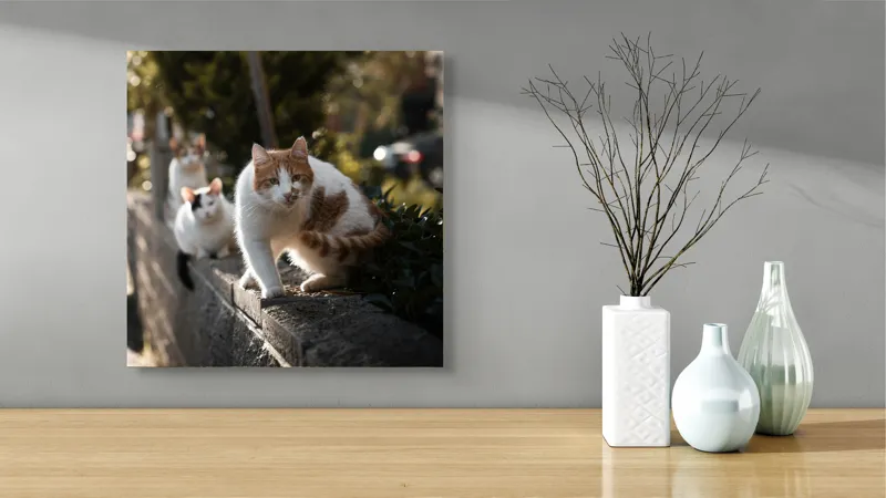 Tablou Canvas, "Trei pisici explorând gardul însorit", Pisici, Zid, Soare, Verdeață, Blăniță, Atenție, Agilitate, Stradă, 50 x 50 cm – poza 3