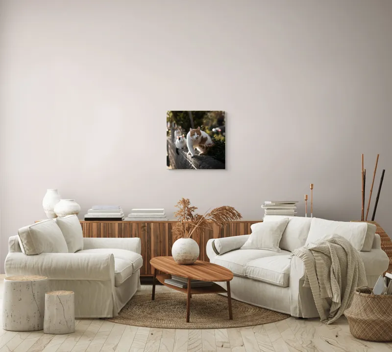 Tablou Canvas, "Trei pisici explorând gardul însorit", Pisici, Zid, Soare, Verdeață, Blăniță, Atenție, Agilitate, Stradă, 50 x 50 cm – poza 7