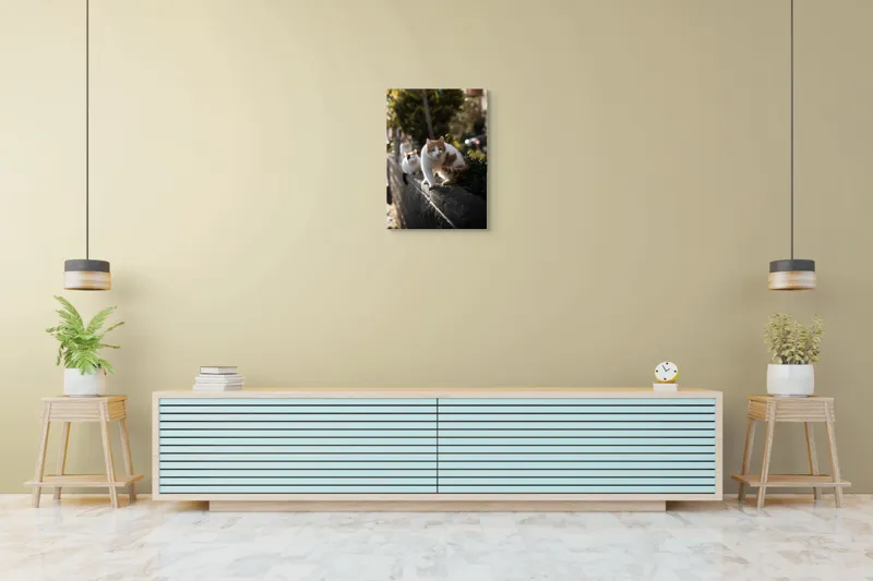Tablou Canvas, "Trei pisici explorând gardul însorit", Pisici, Zid, Soare, Verdeață, Blăniță, Atenție, Agilitate, Stradă, 50 x 70 cm – poza 6