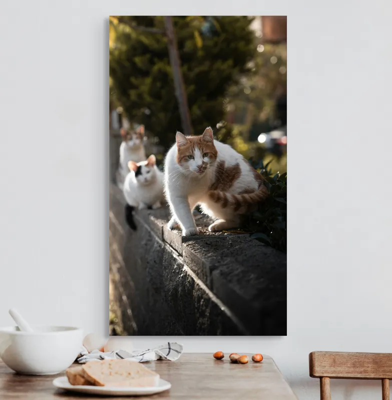 Tablou Canvas, "Trei pisici explorând gardul însorit", Pisici, Zid, Soare, Verdeață, Blăniță, Atenție, Agilitate, Stradă, 50 x 90 cm – poza 3
