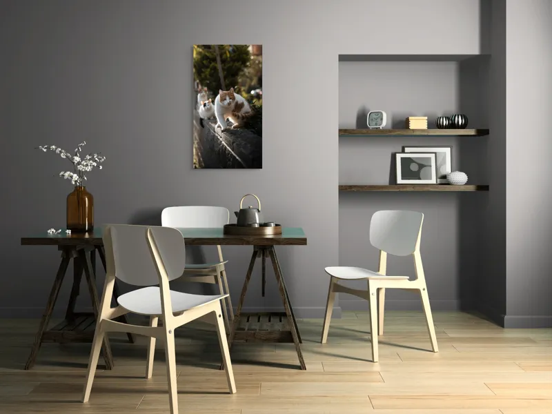 Tablou Canvas, "Trei pisici explorând gardul însorit", Pisici, Zid, Soare, Verdeață, Blăniță, Atenție, Agilitate, Stradă, 50 x 90 cm – poza 4