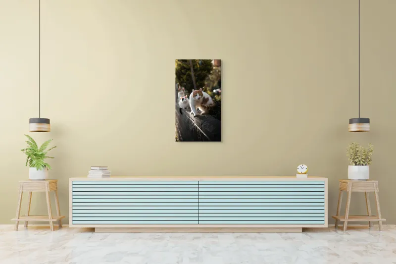 Tablou Canvas, "Trei pisici explorând gardul însorit", Pisici, Zid, Soare, Verdeață, Blăniță, Atenție, Agilitate, Stradă, 50 x 90 cm – poza 6