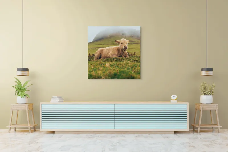 Tablou Canvas, "Vițel odihnindu-se pe câmp verde", Vacă, Câmpie, Ceață, Deal, Iarbă, Liniște, Natură, 100 x 100 cm – poza 5
