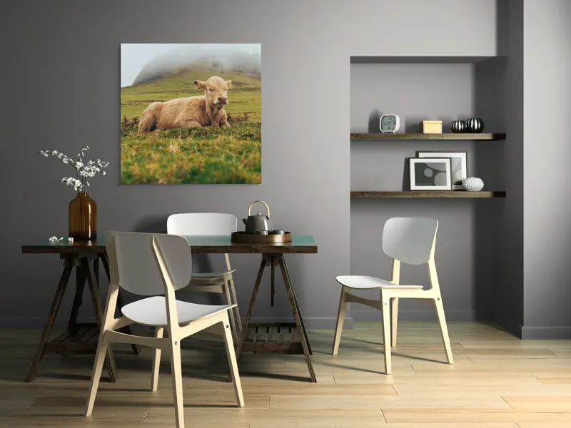 Tablou Canvas, "Vițel odihnindu-se pe câmp verde", Vacă, Câmpie, Ceață, Deal, Iarbă, Liniște, Natură, 100 x 100 cm – poza 6