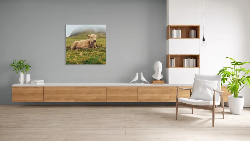 Tablou Canvas, "Vițel odihnindu-se pe câmp verde", Vacă, Câmpie, Ceață, Deal, Iarbă, Liniște, Natură, 100 x 100 cm – poza 8