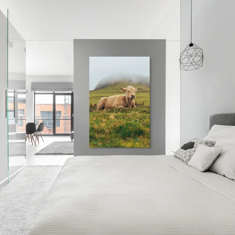 Tablou Canvas, "Vițel odihnindu-se pe câmp verde", Vacă, Câmpie, Ceață, Deal, Iarbă, Liniște, Natură, 100 x 150 cm – poza 5