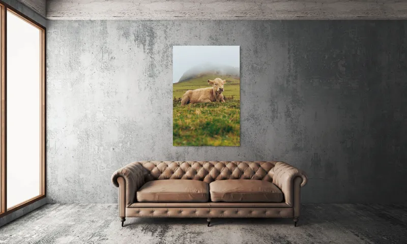 Tablou Canvas, "Vițel odihnindu-se pe câmp verde", Vacă, Câmpie, Ceață, Deal, Iarbă, Liniște, Natură, 100 x 150 cm – poza 6