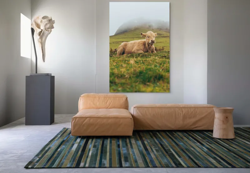 Tablou Canvas, "Vițel odihnindu-se pe câmp verde", Vacă, Câmpie, Ceață, Deal, Iarbă, Liniște, Natură, 100 x 150 cm – poza 7