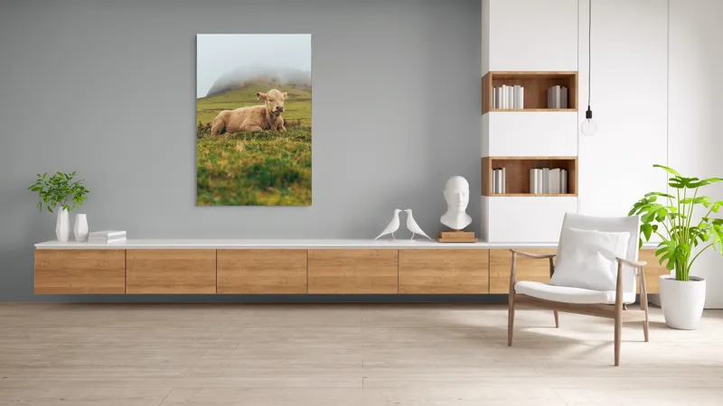 Tablou Canvas, "Vițel odihnindu-se pe câmp verde", Vacă, Câmpie, Ceață, Deal, Iarbă, Liniște, Natură, 100 x 150 cm – poza 8