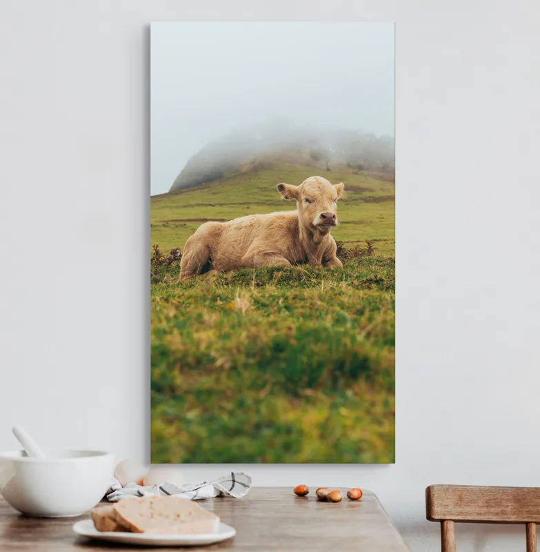 Tablou Canvas, "Vițel odihnindu-se pe câmp verde", Vacă, Câmpie, Ceață, Deal, Iarbă, Liniște, Natură, 50 x 90 cm – poza 3