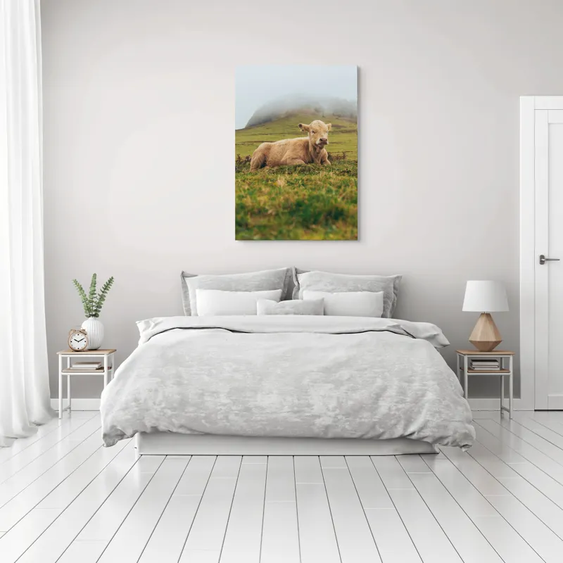 Tablou Canvas, "Vițel odihnindu-se pe câmp verde", Vacă, Câmpie, Ceață, Deal, Iarbă, Liniște, Natură, 70 x 100 cm – poza 3