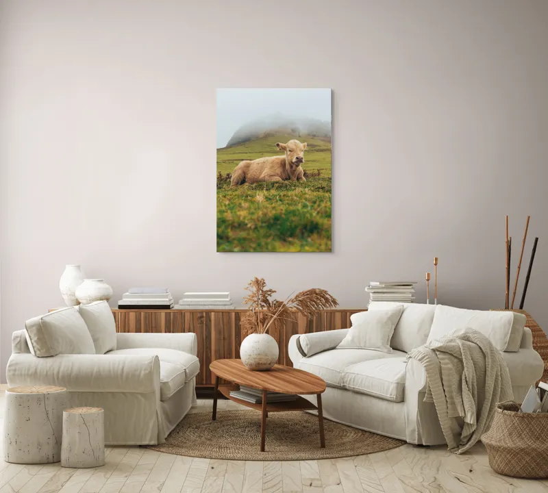 Tablou Canvas, "Vițel odihnindu-se pe câmp verde", Vacă, Câmpie, Ceață, Deal, Iarbă, Liniște, Natură, 70 x 100 cm – poza 4