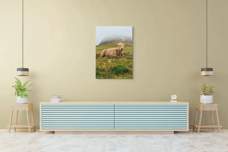 Tablou Canvas, "Vițel odihnindu-se pe câmp verde", Vacă, Câmpie, Ceață, Deal, Iarbă, Liniște, Natură, 70 x 100 cm – poza 5
