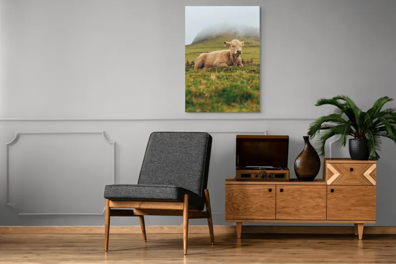 Tablou Canvas, "Vițel odihnindu-se pe câmp verde", Vacă, Câmpie, Ceață, Deal, Iarbă, Liniște, Natură, 70 x 100 cm – poza 6