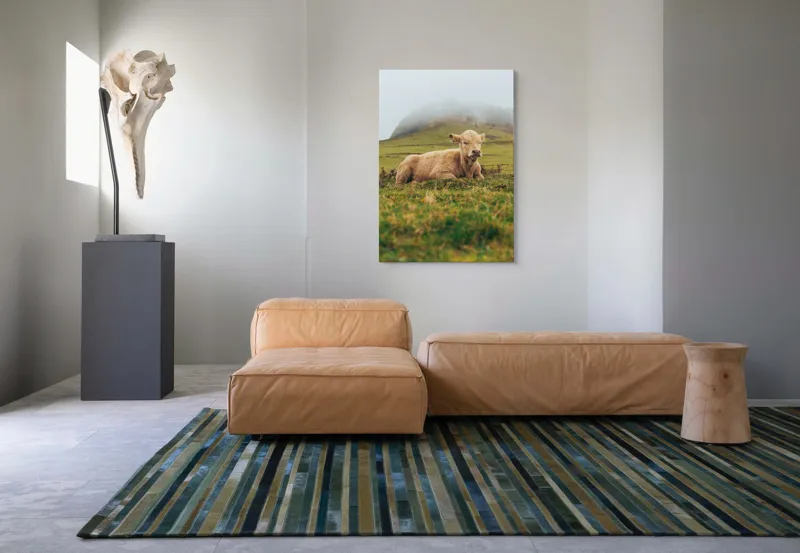 Tablou Canvas, "Vițel odihnindu-se pe câmp verde", Vacă, Câmpie, Ceață, Deal, Iarbă, Liniște, Natură, 70 x 100 cm – poza 7