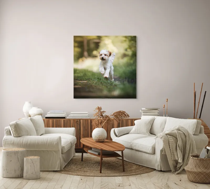 Tablou Canvas, "Alergarea fericită a cățelului alb", Căţel, Pădure, Verdeaţă, Zâmbet, Energie, Libertate, Fericire, Norişor., 100 x 100 cm – poza 3
