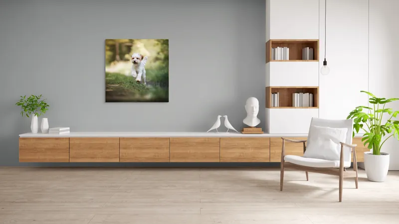 Tablou Canvas, "Alergarea fericită a cățelului alb", Căţel, Pădure, Verdeaţă, Zâmbet, Energie, Libertate, Fericire, Norişor., 100 x 100 cm – poza 8