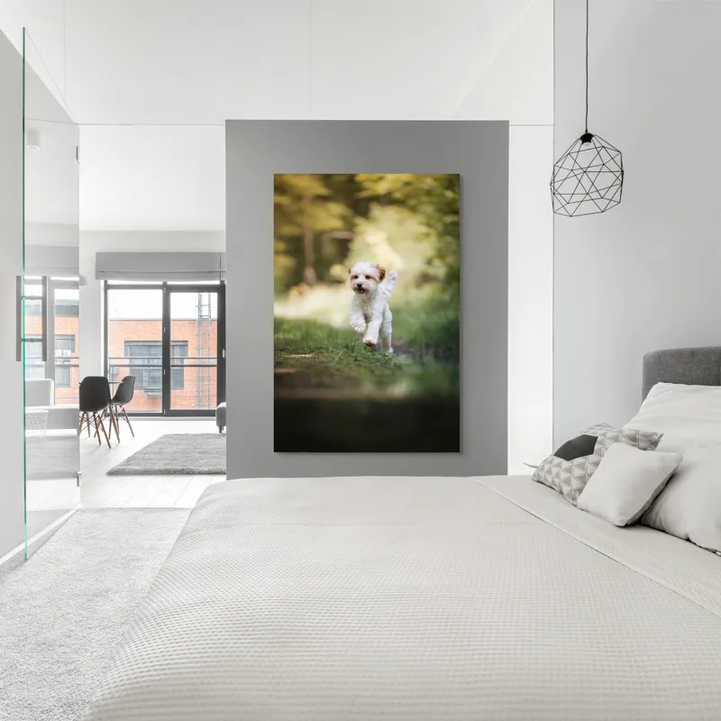 Tablou Canvas, "Alergarea fericită a cățelului alb", Căţel, Pădure, Verdeaţă, Zâmbet, Energie, Libertate, Fericire, Norişor., 100 x 150 cm – poza 5
