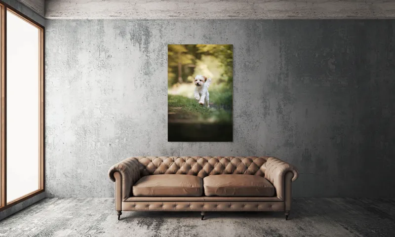 Tablou Canvas, "Alergarea fericită a cățelului alb", Căţel, Pădure, Verdeaţă, Zâmbet, Energie, Libertate, Fericire, Norişor., 100 x 150 cm – poza 6