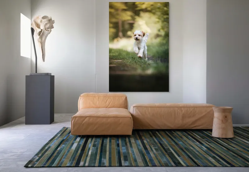 Tablou Canvas, "Alergarea fericită a cățelului alb", Căţel, Pădure, Verdeaţă, Zâmbet, Energie, Libertate, Fericire, Norişor., 100 x 150 cm – poza 7