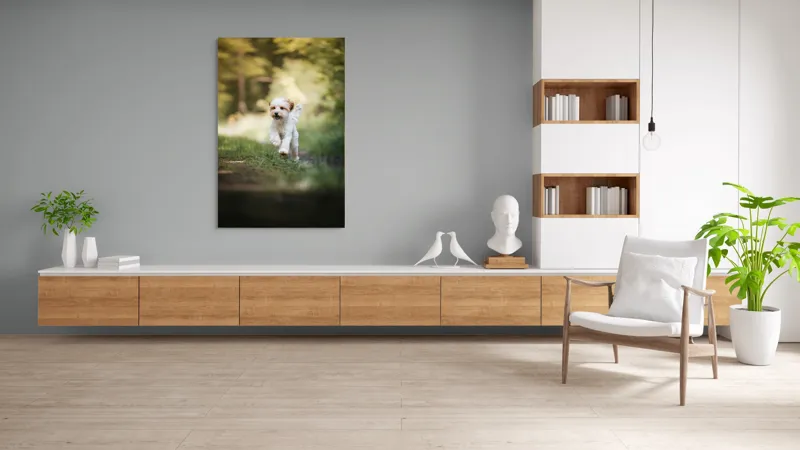 Tablou Canvas, "Alergarea fericită a cățelului alb", Căţel, Pădure, Verdeaţă, Zâmbet, Energie, Libertate, Fericire, Norişor., 100 x 150 cm – poza 8