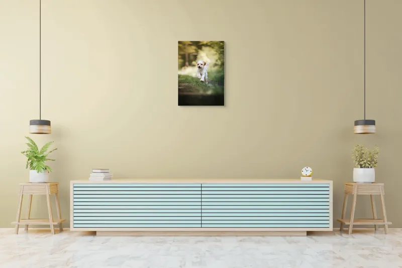 Tablou Canvas, "Alergarea fericită a cățelului alb", Căţel, Pădure, Verdeaţă, Zâmbet, Energie, Libertate, Fericire, Norişor., 50 x 70 cm – poza 6