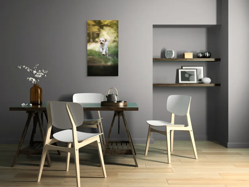 Tablou Canvas, "Alergarea fericită a cățelului alb", Căţel, Pădure, Verdeaţă, Zâmbet, Energie, Libertate, Fericire, Norişor., 50 x 90 cm – poza 4
