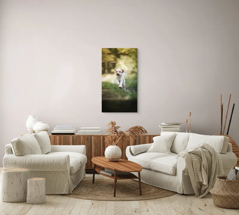 Tablou Canvas, "Alergarea fericită a cățelului alb", Căţel, Pădure, Verdeaţă, Zâmbet, Energie, Libertate, Fericire, Norişor., 50 x 90 cm – poza 7
