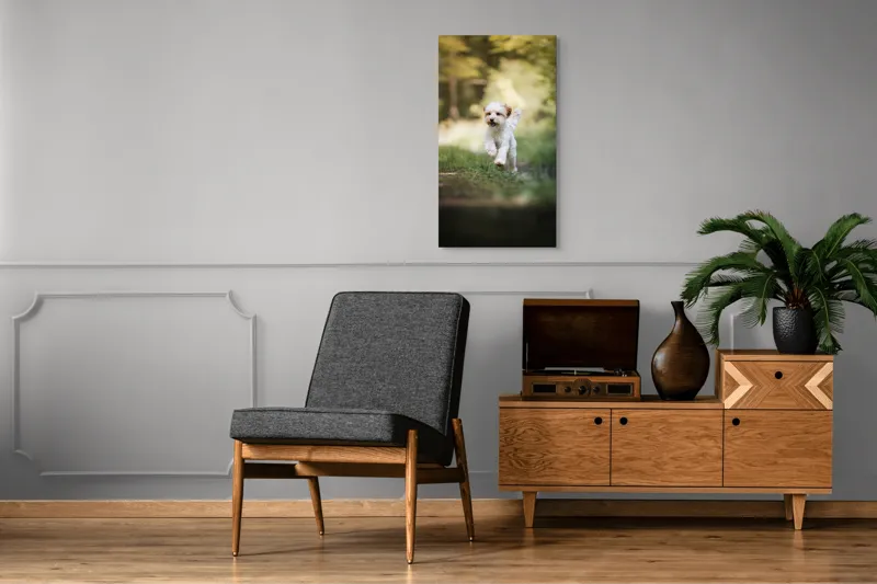 Tablou Canvas, "Alergarea fericită a cățelului alb", Căţel, Pădure, Verdeaţă, Zâmbet, Energie, Libertate, Fericire, Norişor., 50 x 90 cm – poza 8