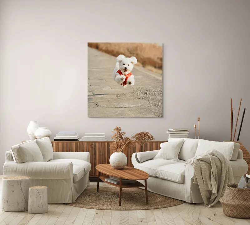 Tablou Canvas, "Zborul fericit al cățelului alb", Fluffy, Energetic, Joyful, Playful, Excited, Adorable, 100 x 100 cm – poza 3