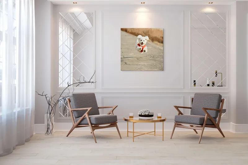Tablou Canvas, "Zborul fericit al cățelului alb", Fluffy, Energetic, Joyful, Playful, Excited, Adorable, 100 x 100 cm – poza 7