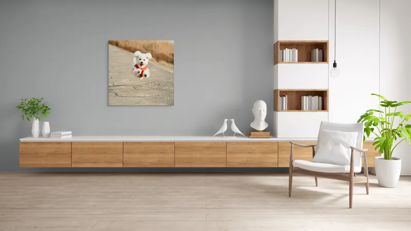 Tablou Canvas, "Zborul fericit al cățelului alb", Fluffy, Energetic, Joyful, Playful, Excited, Adorable, 100 x 100 cm – poza 8